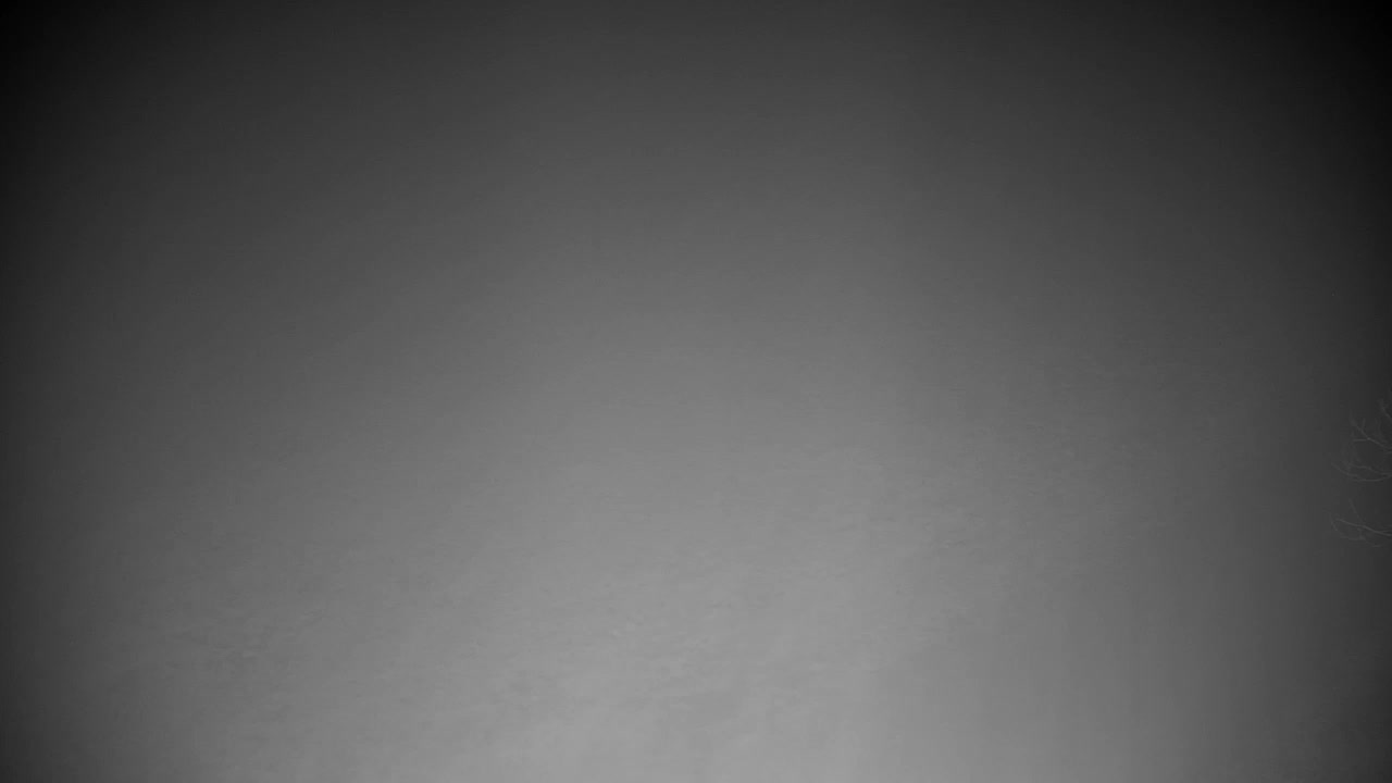 Webcam Ribnik Vrbje – Žalec