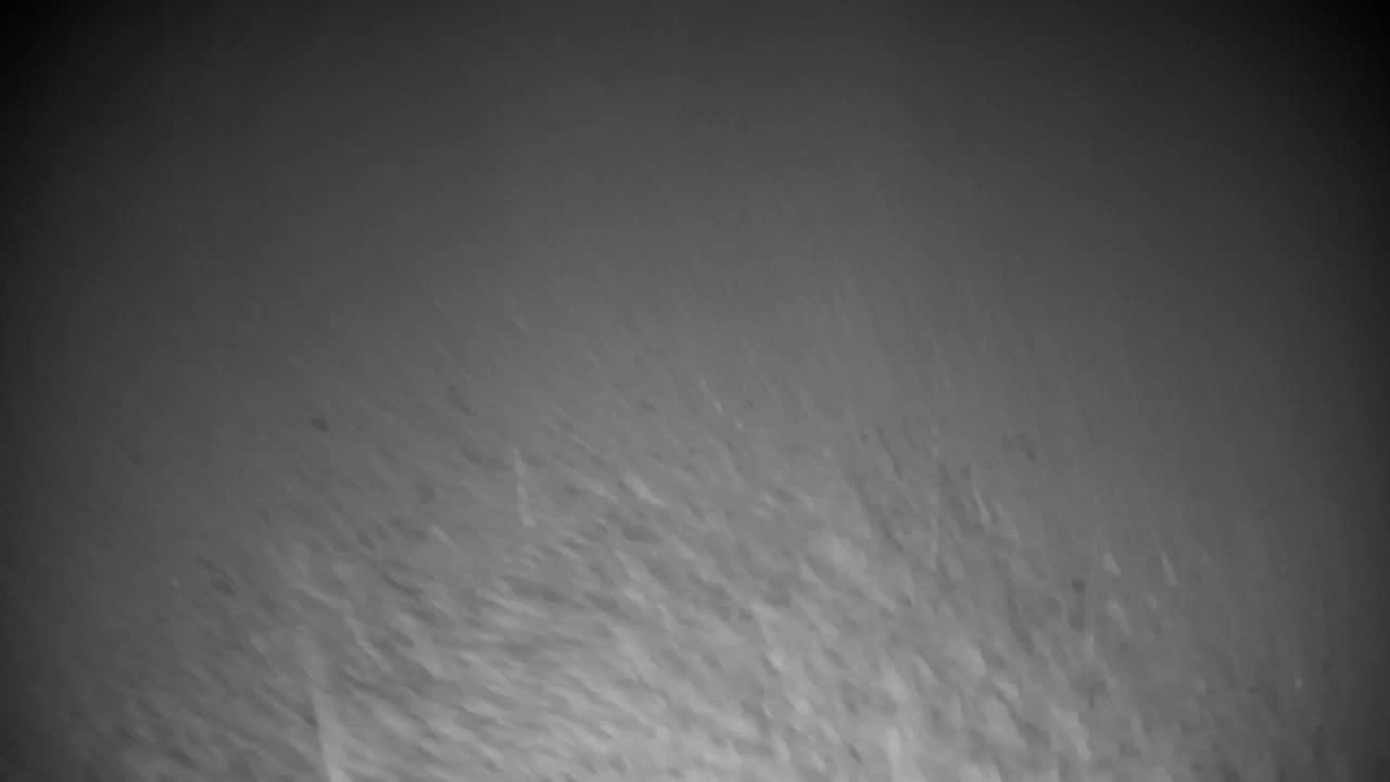 Webcam Ribnik Vrbje – Žalec