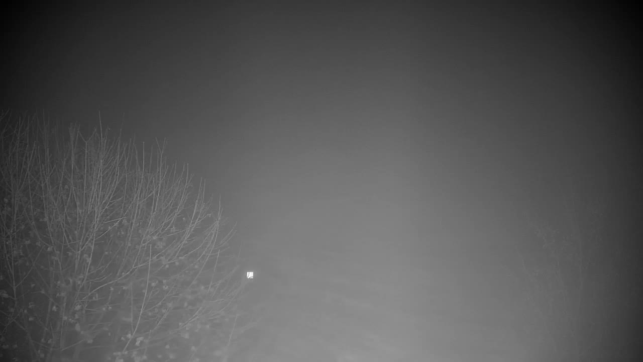 Webcam Ribnik Vrbje – Žalec