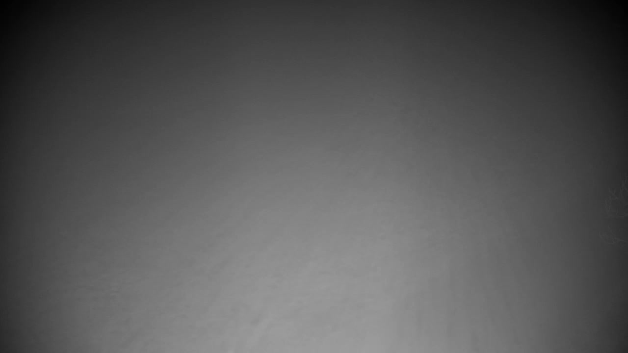 Webcam Ribnik Vrbje – Žalec