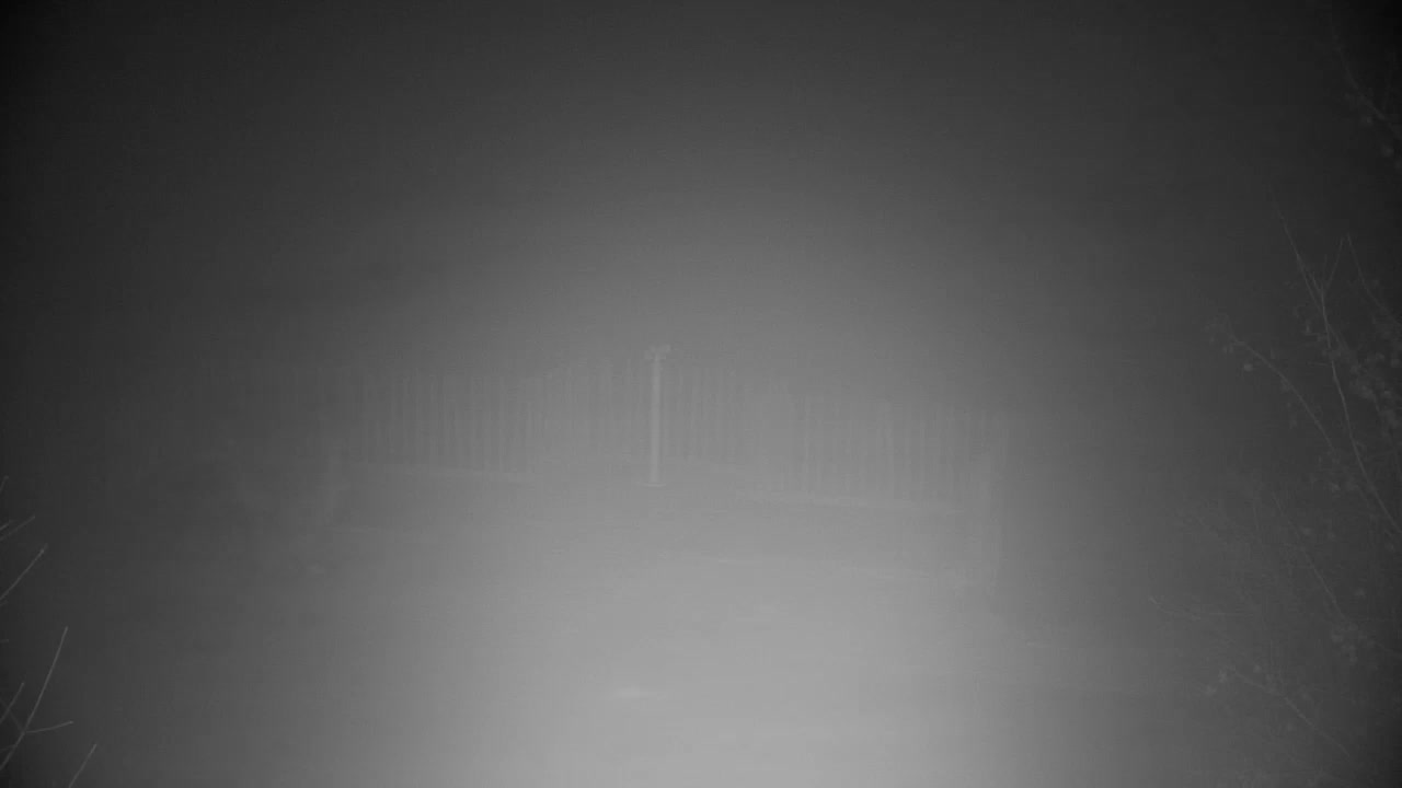 Webcam Ribnik Vrbje – Žalec