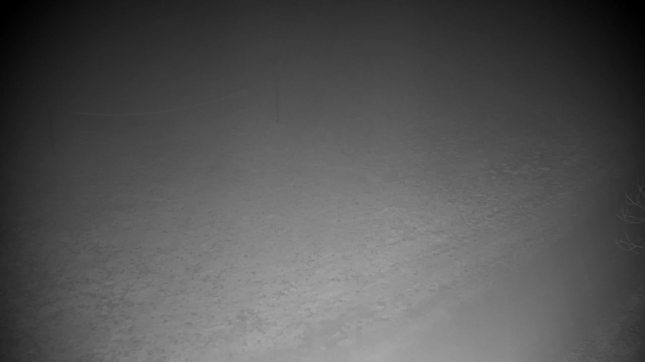 Web kamera Ribnik Vrbje – Žalec