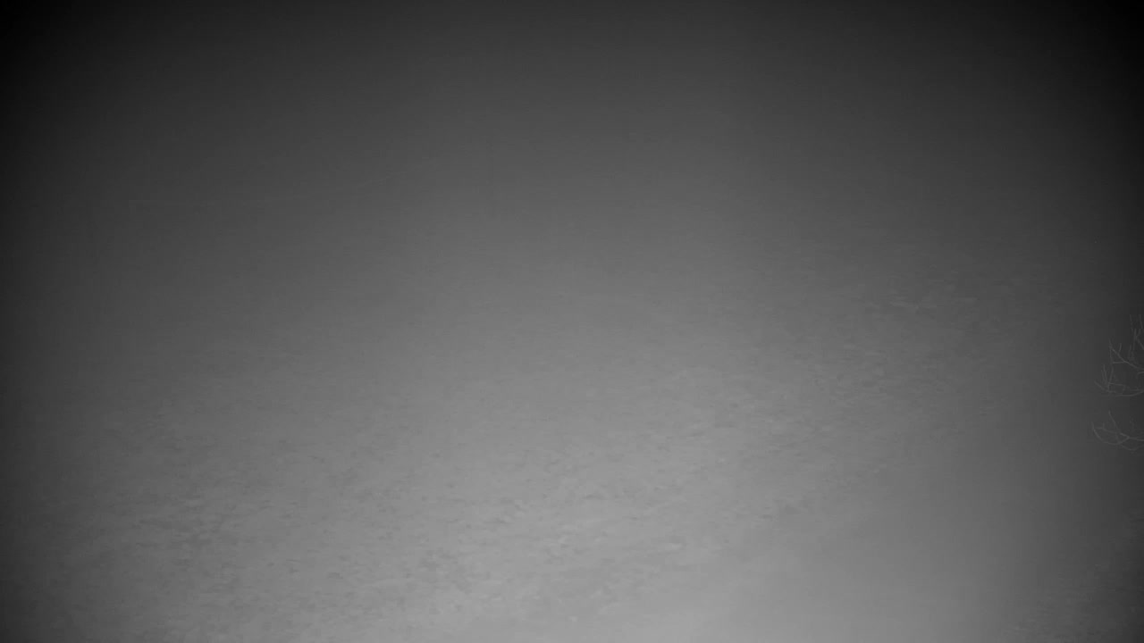 Webcam Ribnik Vrbje – Žalec