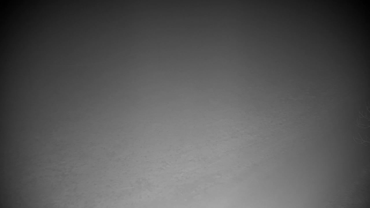 Webcam Ribnik Vrbje – Žalec