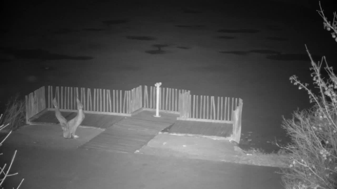 Webcam Ribnik Vrbje – Žalec