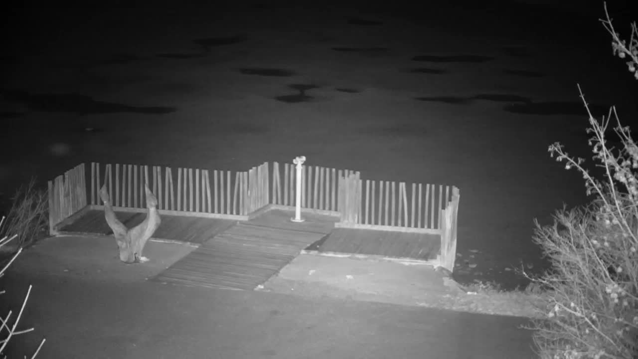 Webcam Ribnik Vrbje – Žalec