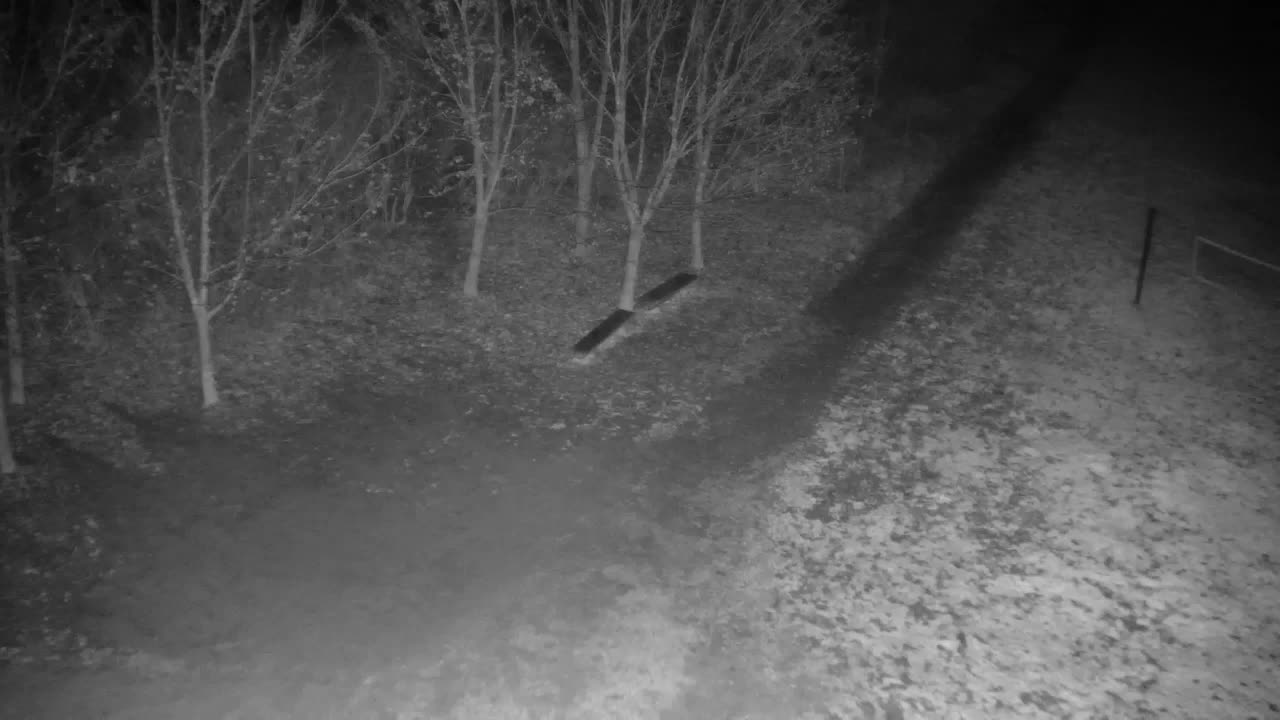 Webcam Ribnik Vrbje – Žalec