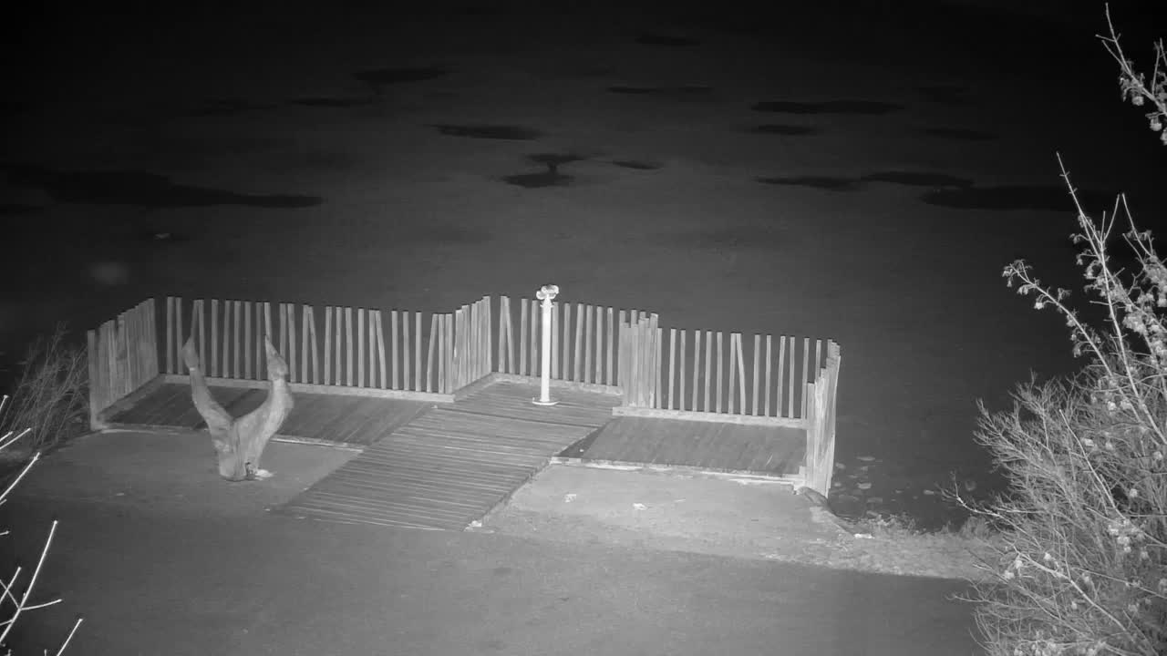 Web kamera Ribnik Vrbje – Žalec