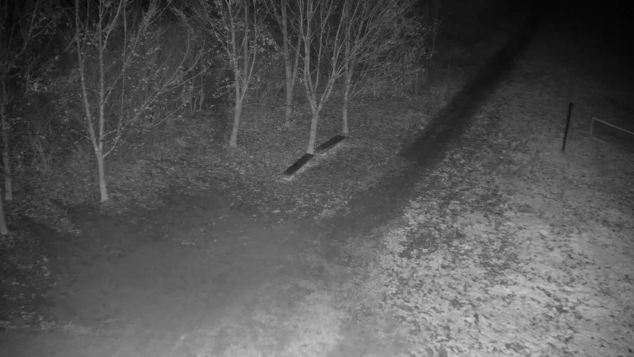 Webcam Ribnik Vrbje – Žalec