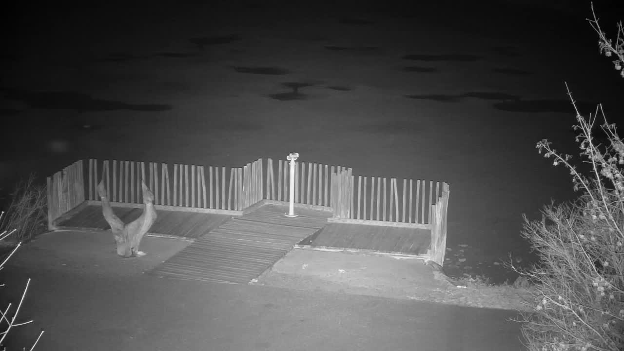 Webcam Ribnik Vrbje – Žalec