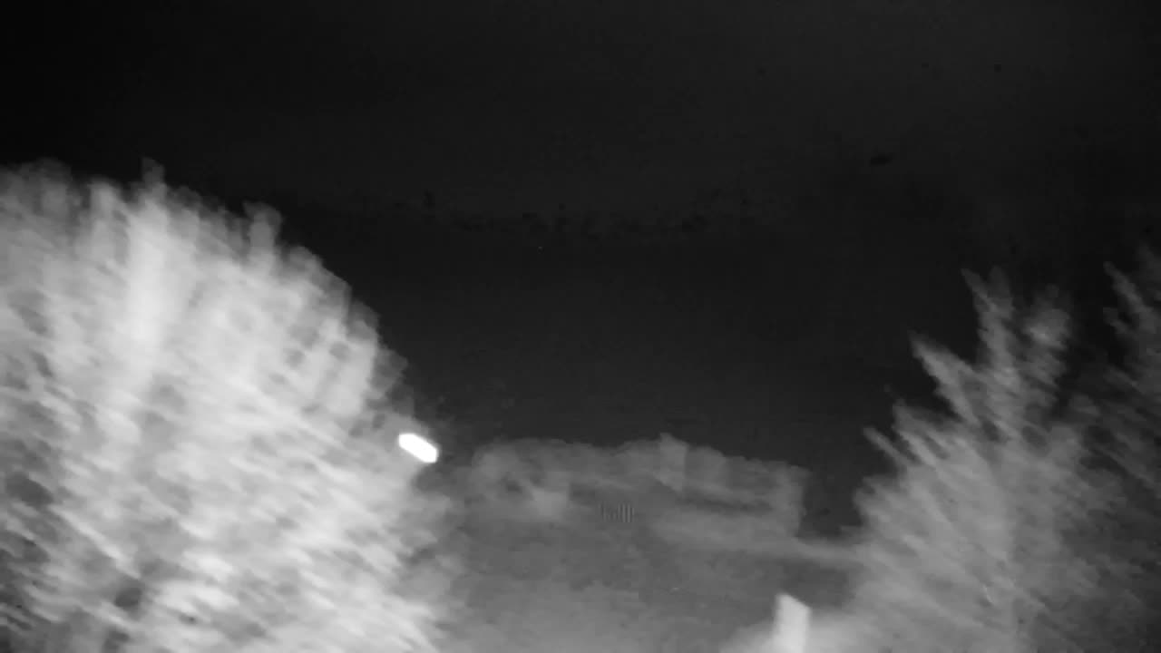 Webcam Ribnik Vrbje – Žalec