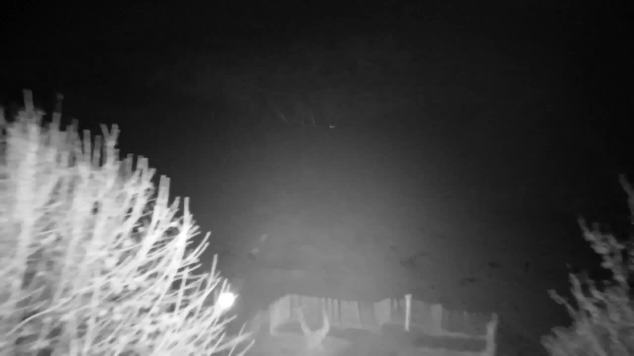 Webcam Ribnik Vrbje – Žalec