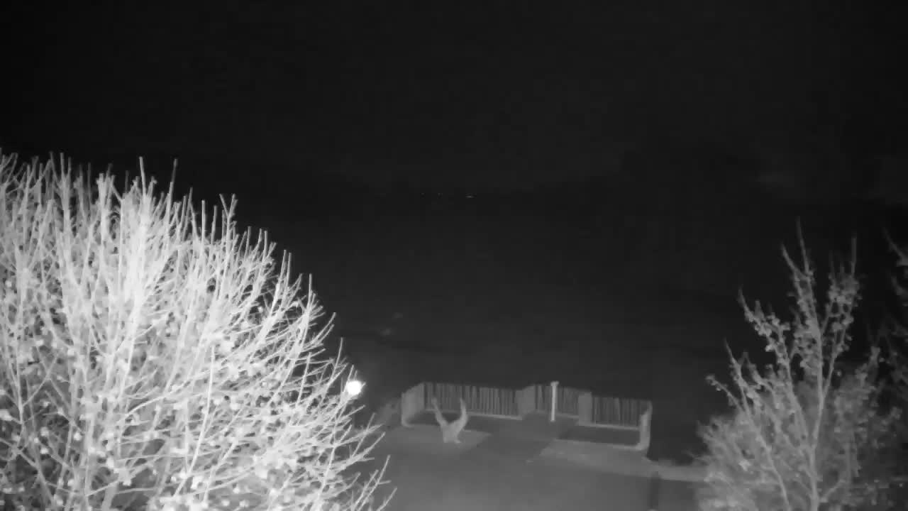 Spletna kamera Ribnik Vrbje – Žalec