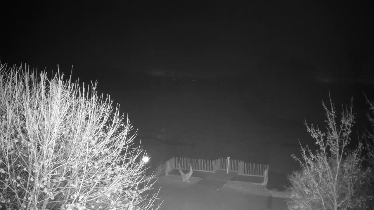 Webcam Ribnik Vrbje – Žalec