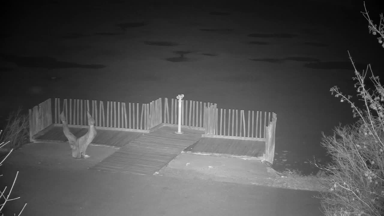 Webcam Ribnik Vrbje – Žalec