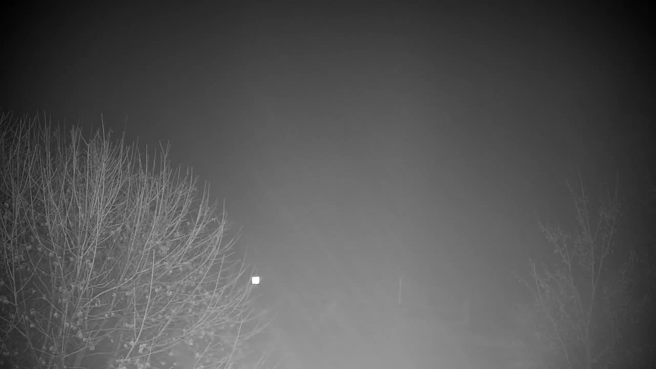 Webcam Ribnik Vrbje – Žalec