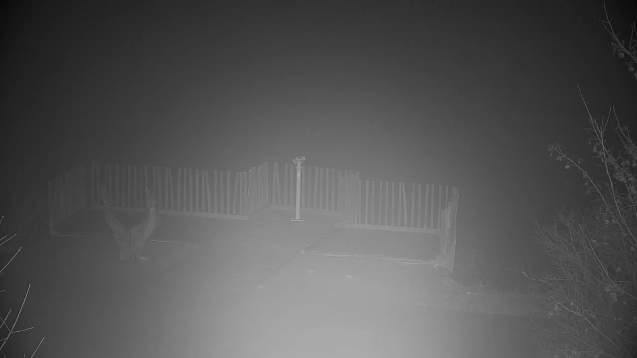 Webcam Ribnik Vrbje – Žalec