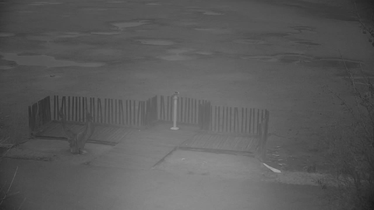 Webcam Ribnik Vrbje – Žalec