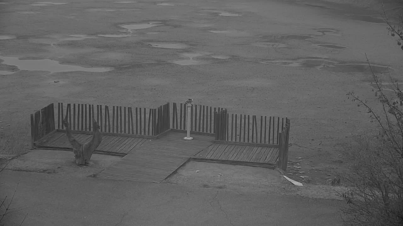 Spletna kamera Ribnik Vrbje – Žalec