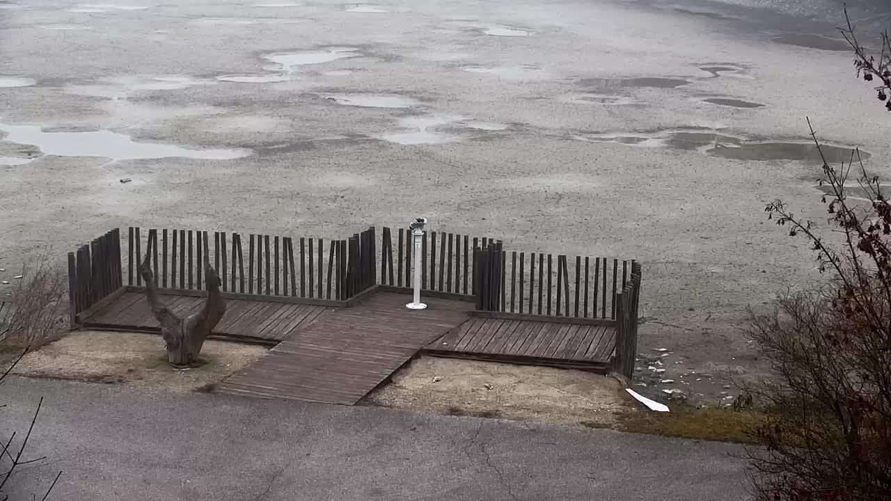 Webcam Ribnik Vrbje – Žalec