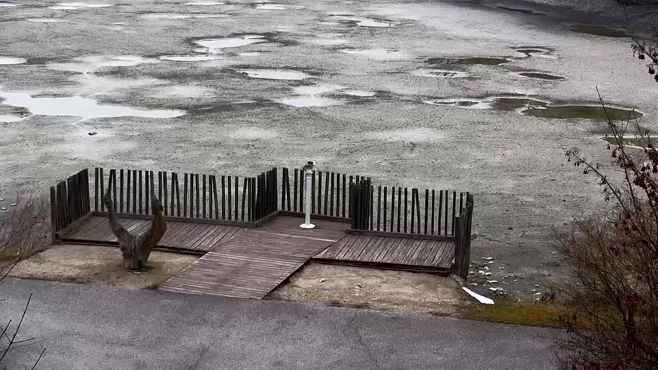 Spletna kamera Ribnik Vrbje – Žalec