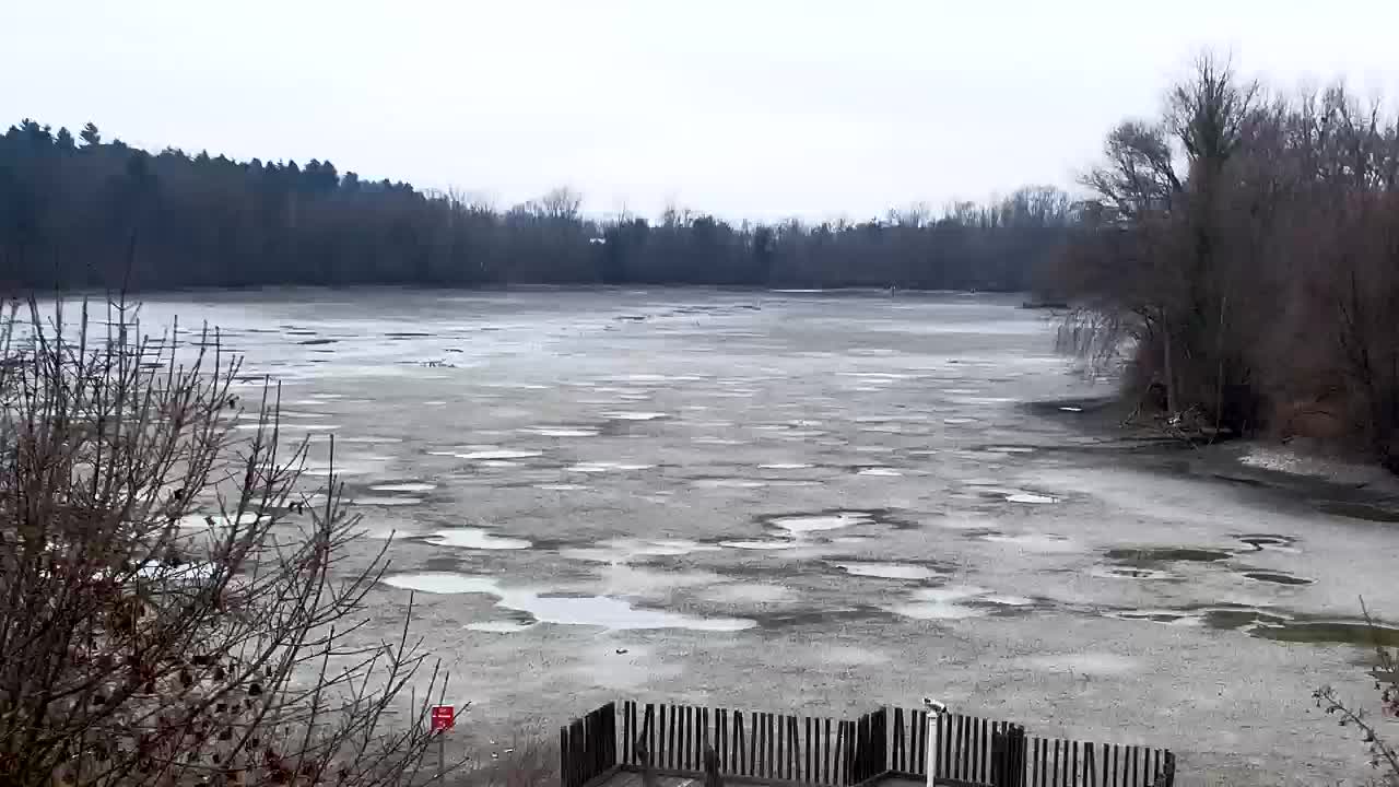 Webcam Ribnik Vrbje – Žalec