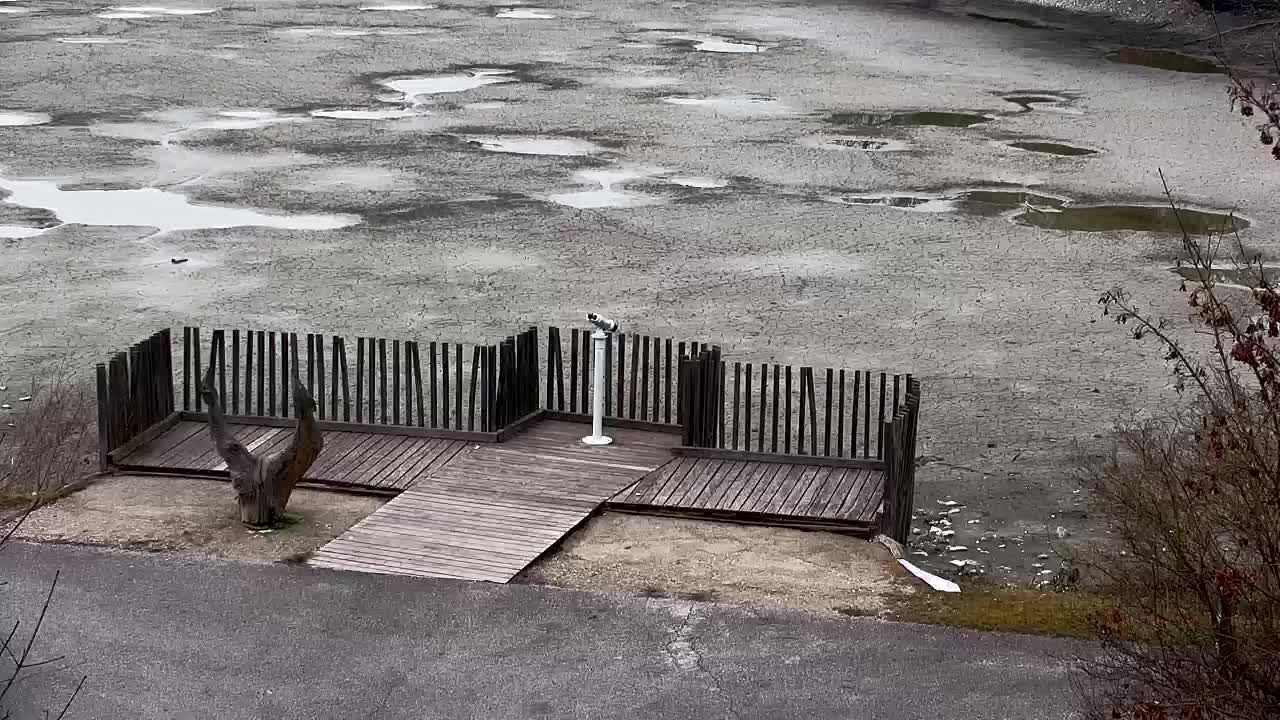 Spletna kamera Ribnik Vrbje – Žalec