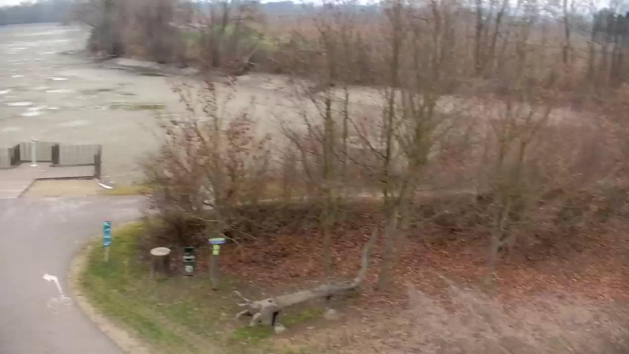 Webcam Ribnik Vrbje – Žalec