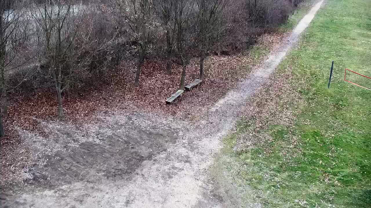 Webcam Ribnik Vrbje – Žalec