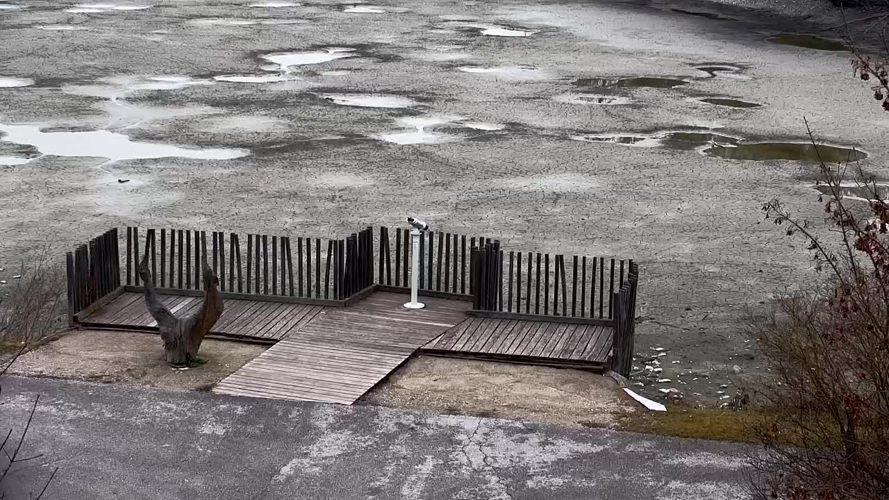 Webcam Ribnik Vrbje – Žalec