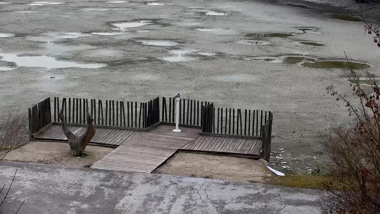 Spletna kamera Ribnik Vrbje – Žalec