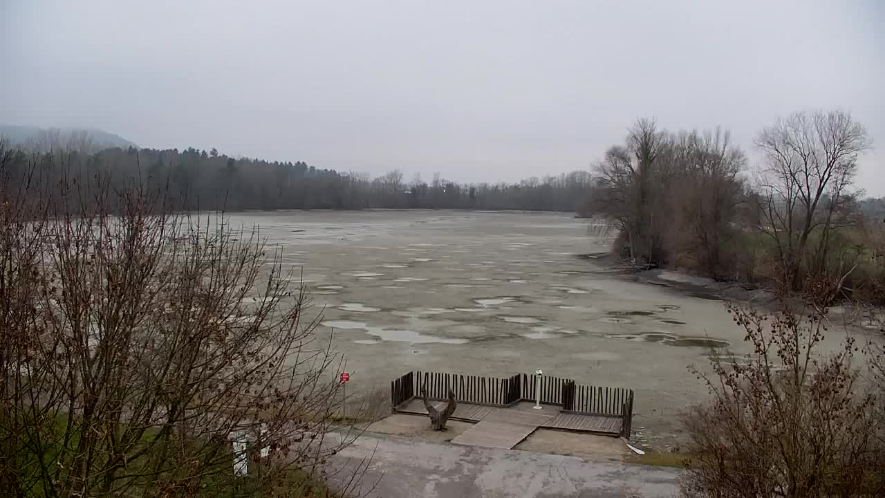 Webcam Ribnik Vrbje – Žalec