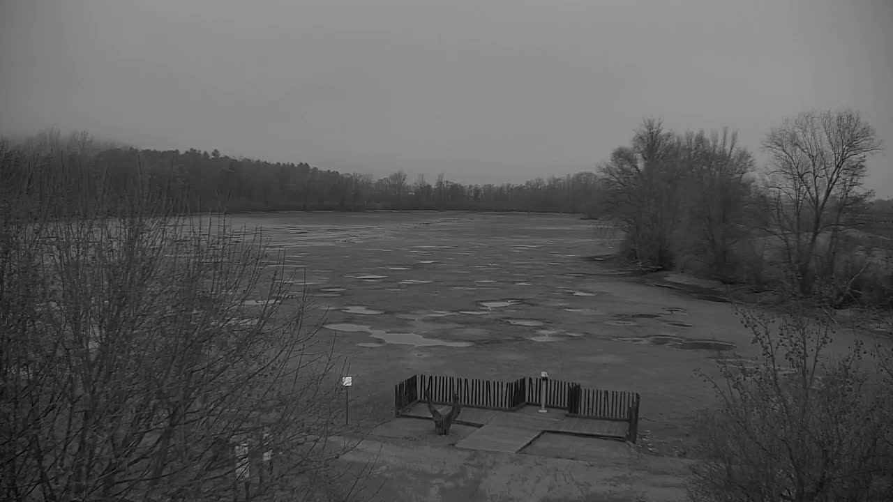 Spletna kamera Ribnik Vrbje – Žalec