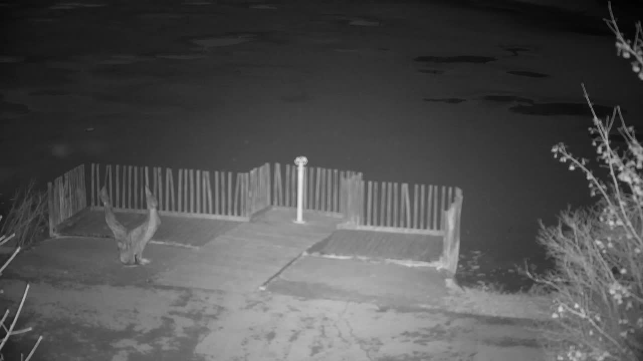 Webcam Ribnik Vrbje – Žalec