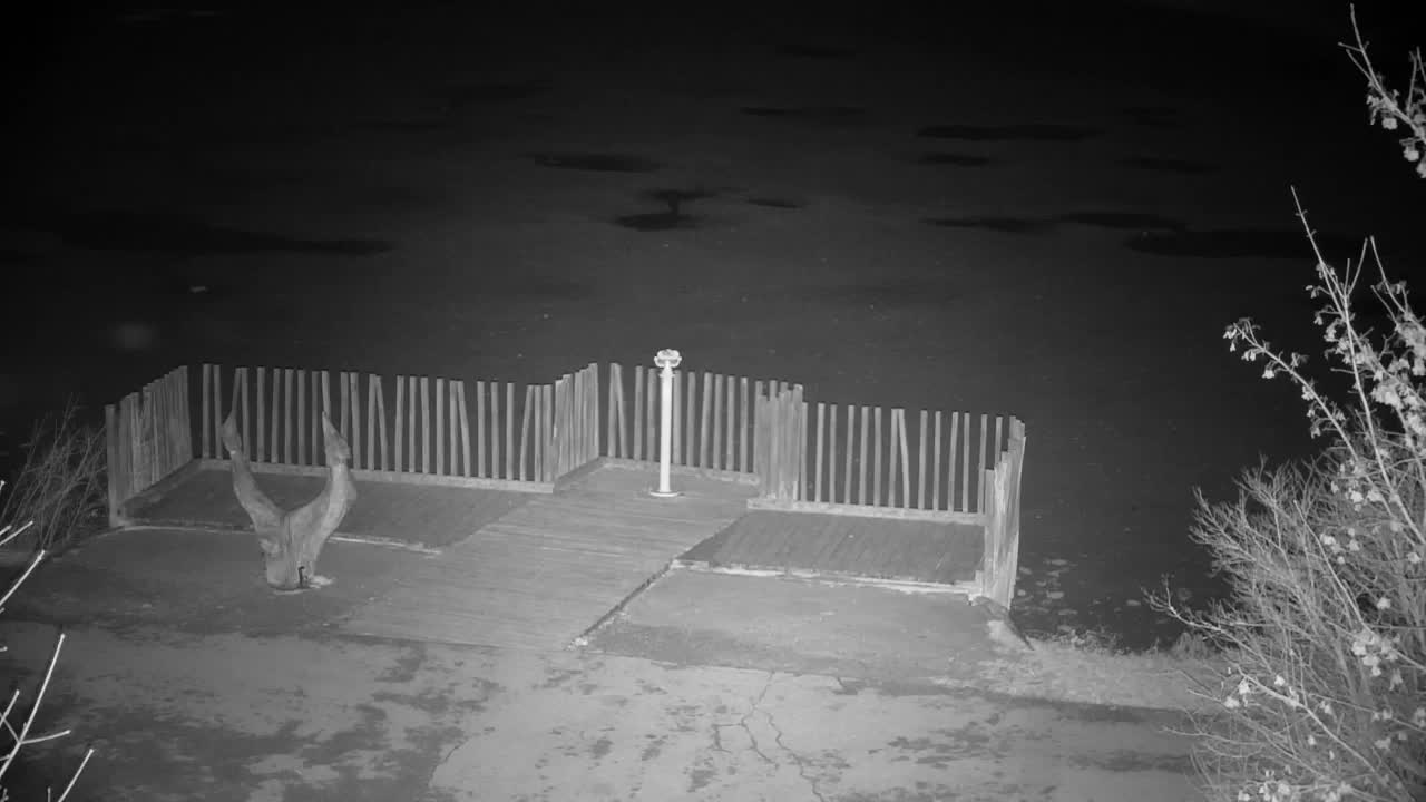 Webcam Ribnik Vrbje – Žalec