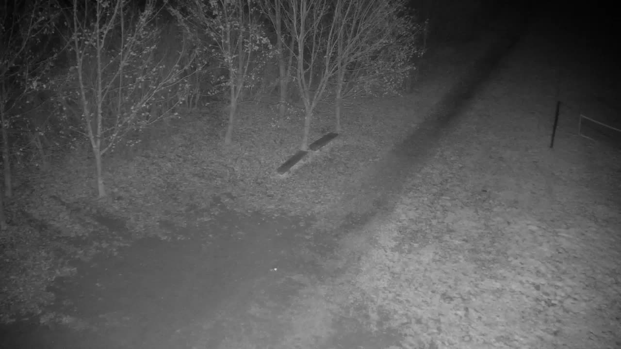 Webcam Ribnik Vrbje – Žalec