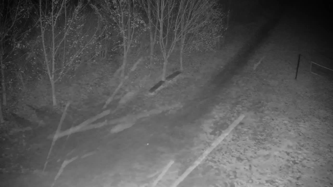 Webcam Ribnik Vrbje – Žalec