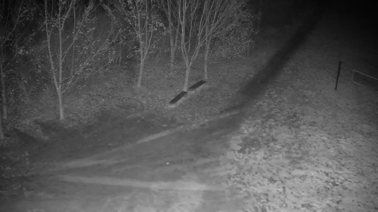 Webcam Ribnik Vrbje – Žalec