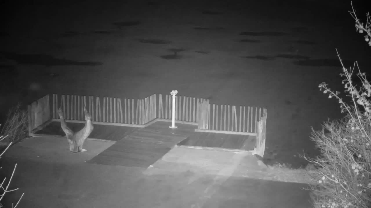 Webcam Ribnik Vrbje – Žalec