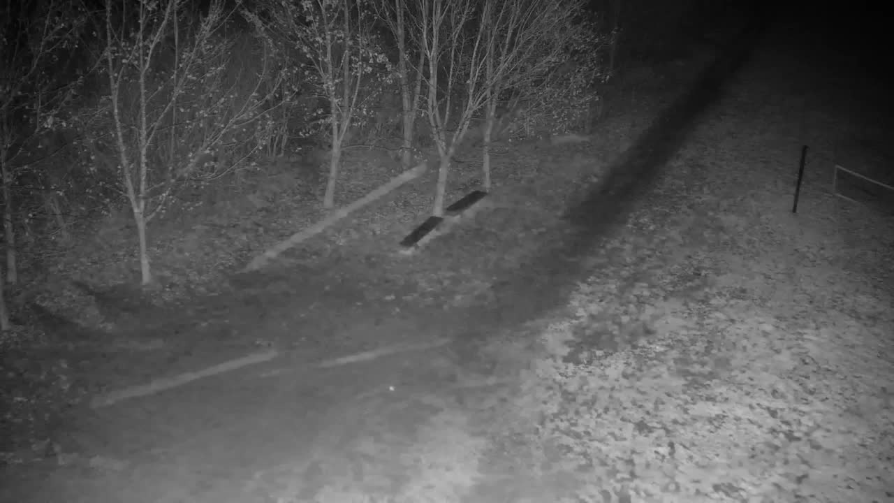 Webcam Ribnik Vrbje – Žalec