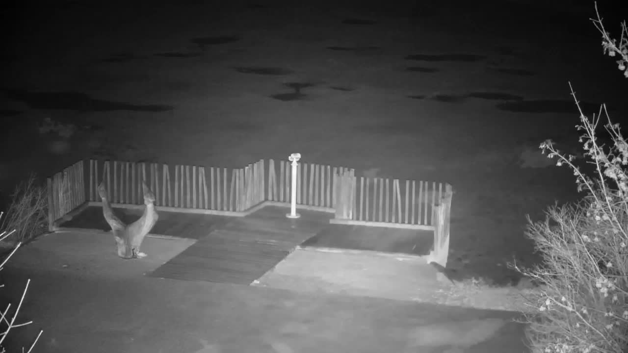 Webcam Ribnik Vrbje – Žalec