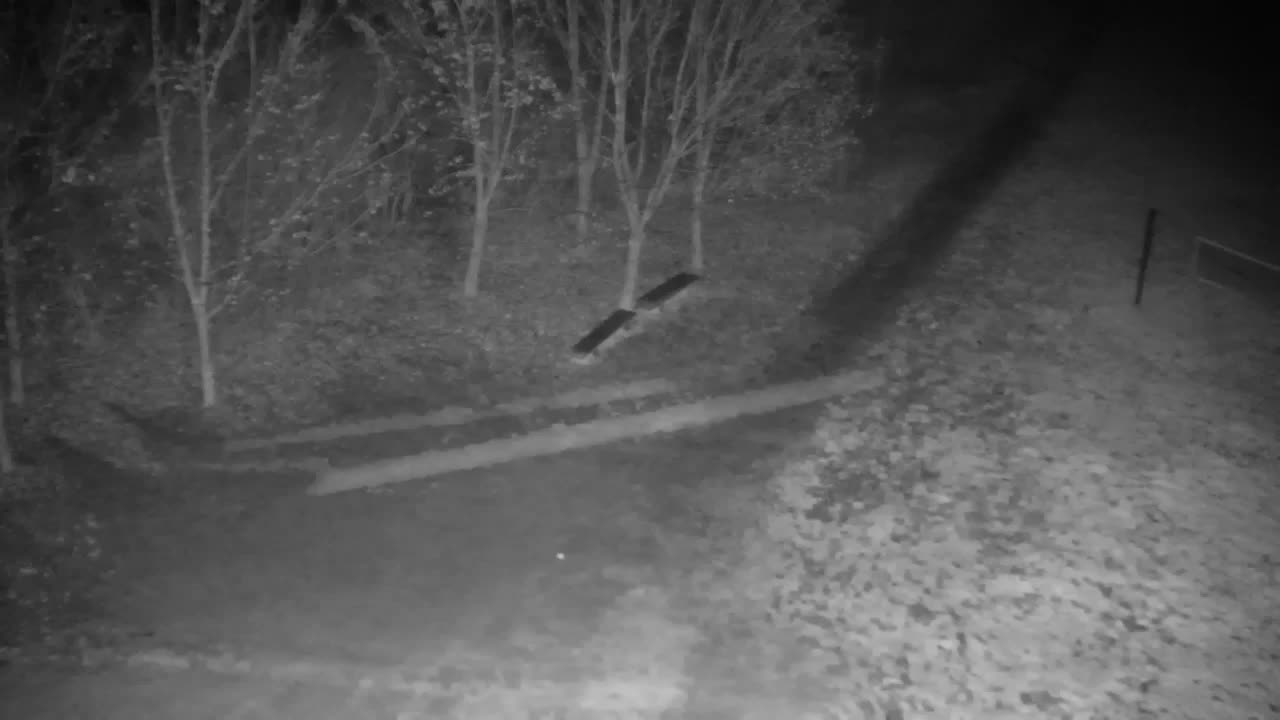 Webcam Ribnik Vrbje – Žalec