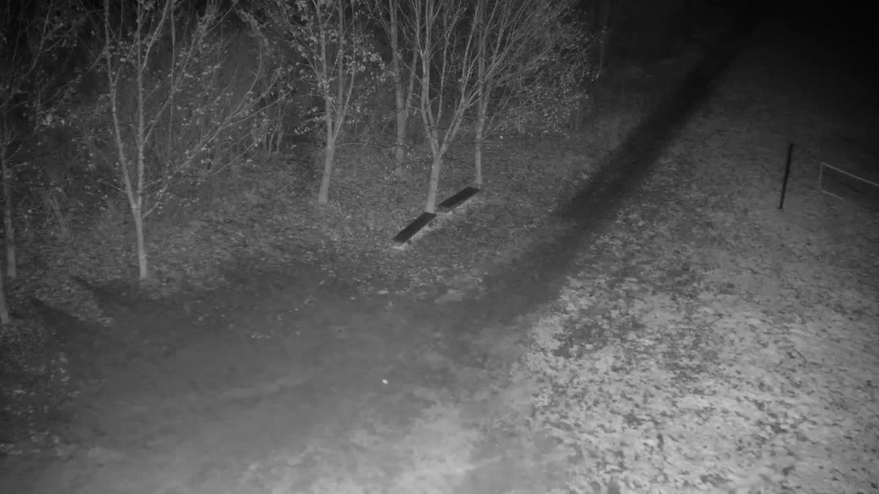 Webcam Ribnik Vrbje – Žalec