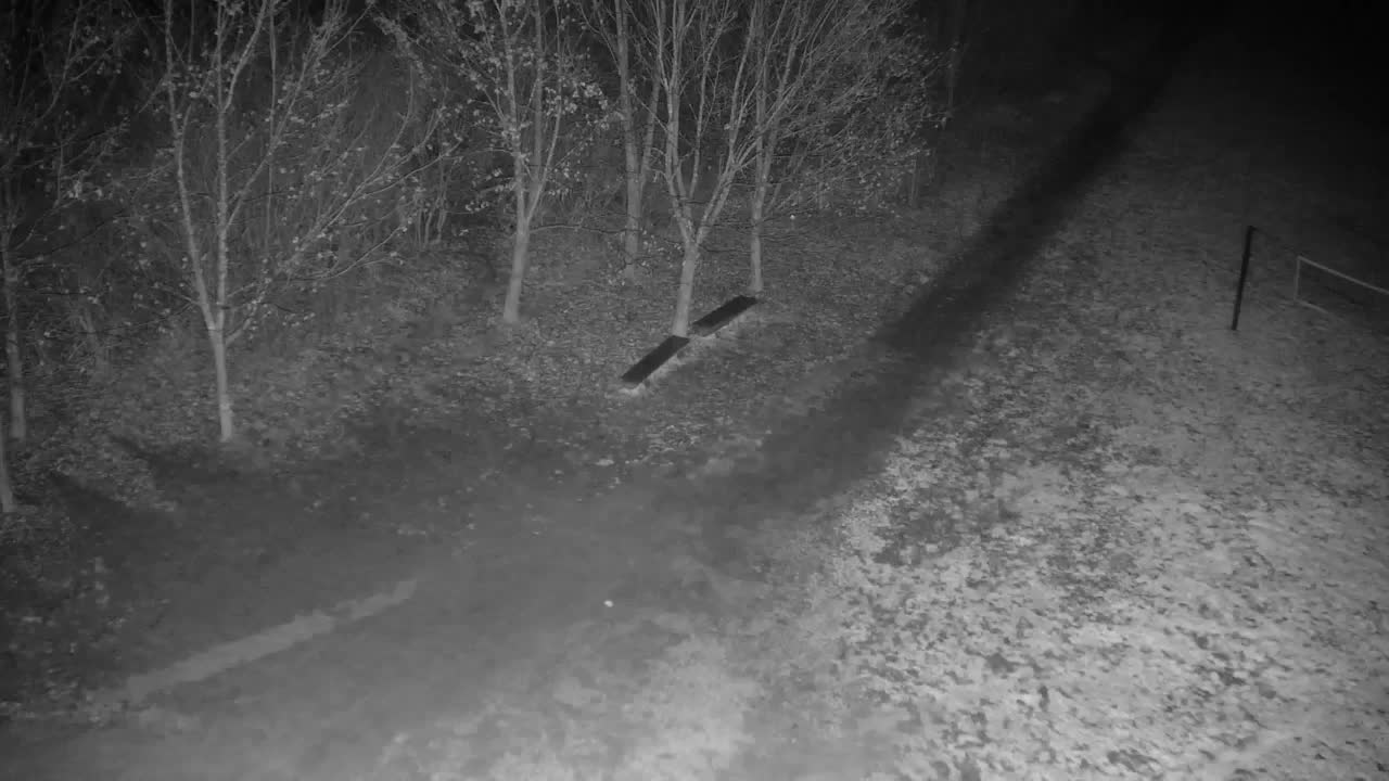 Webcam Ribnik Vrbje – Žalec