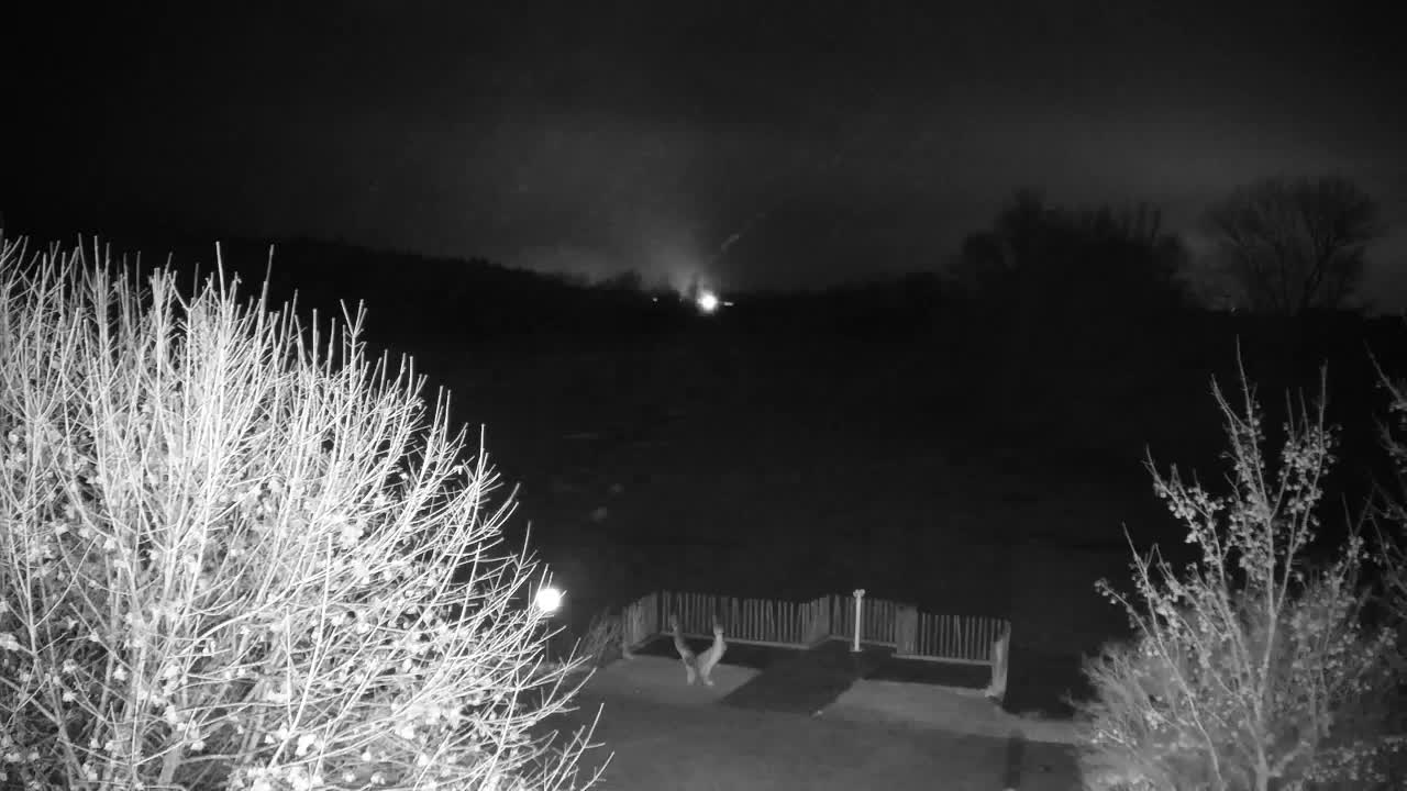 Web kamera Ribnik Vrbje – Žalec