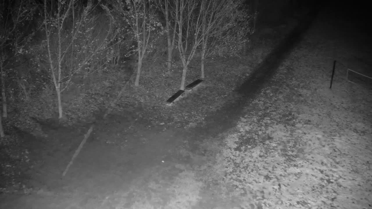 Webcam Ribnik Vrbje – Žalec