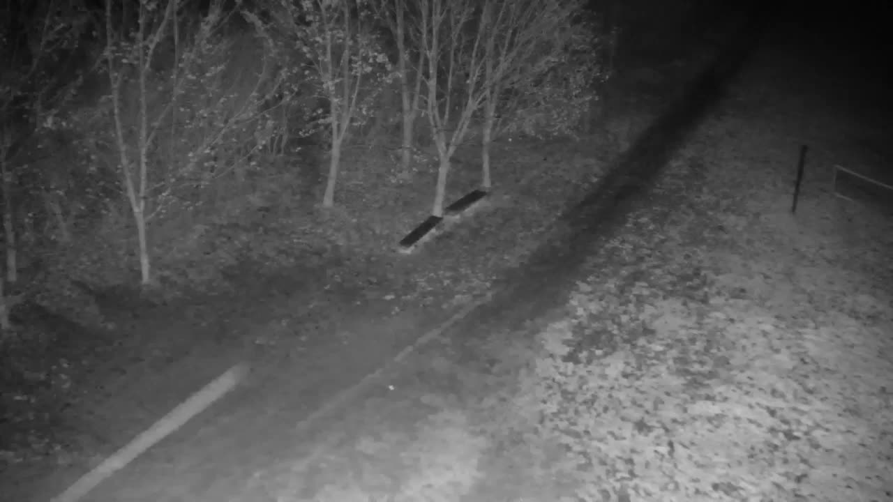 Webcam Ribnik Vrbje – Žalec