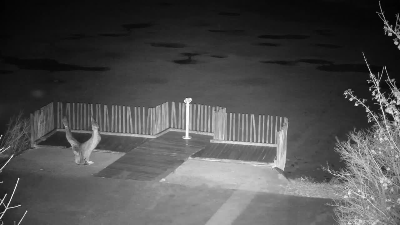 Web kamera Ribnik Vrbje – Žalec