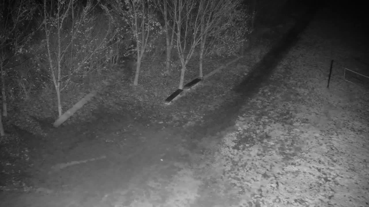 Webcam Ribnik Vrbje – Žalec