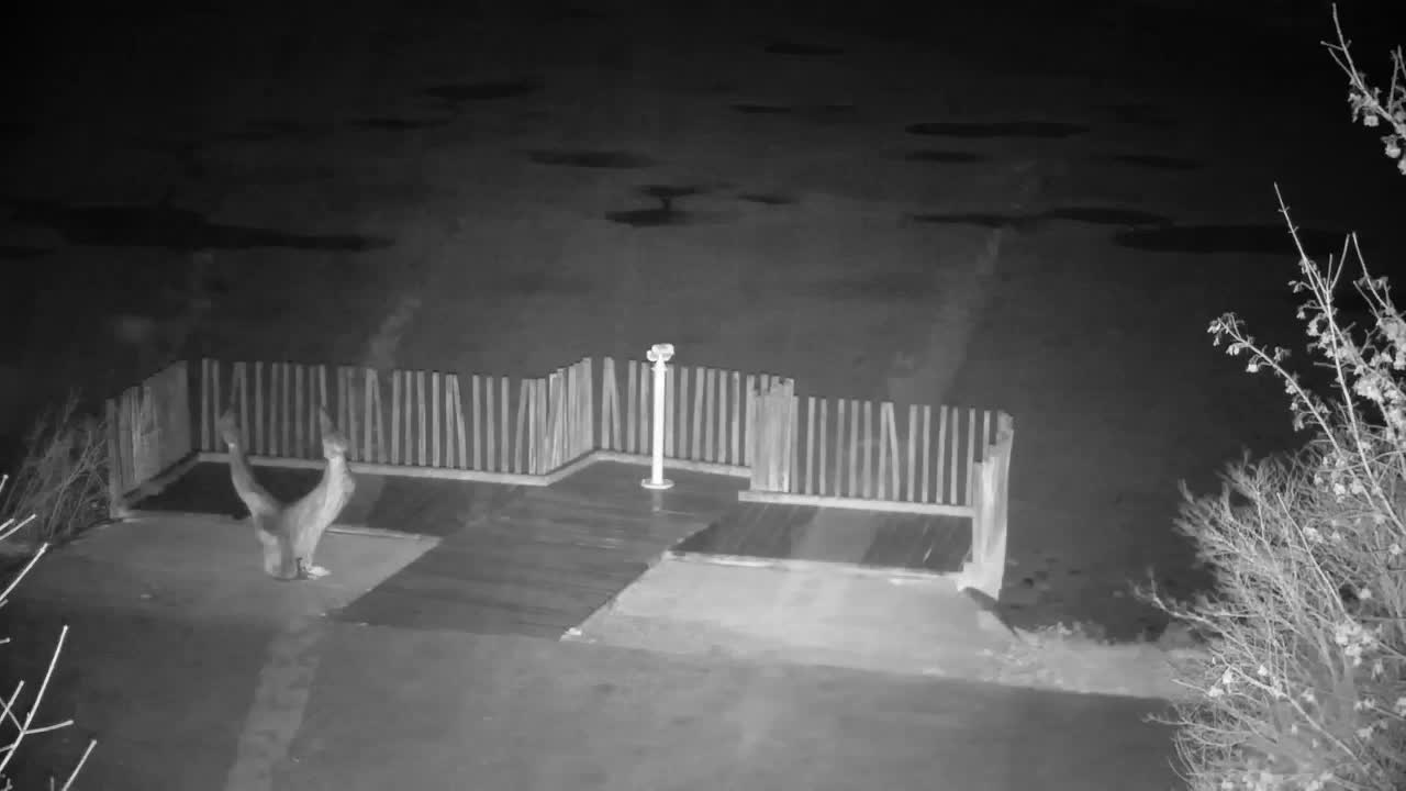 Webcam Ribnik Vrbje – Žalec